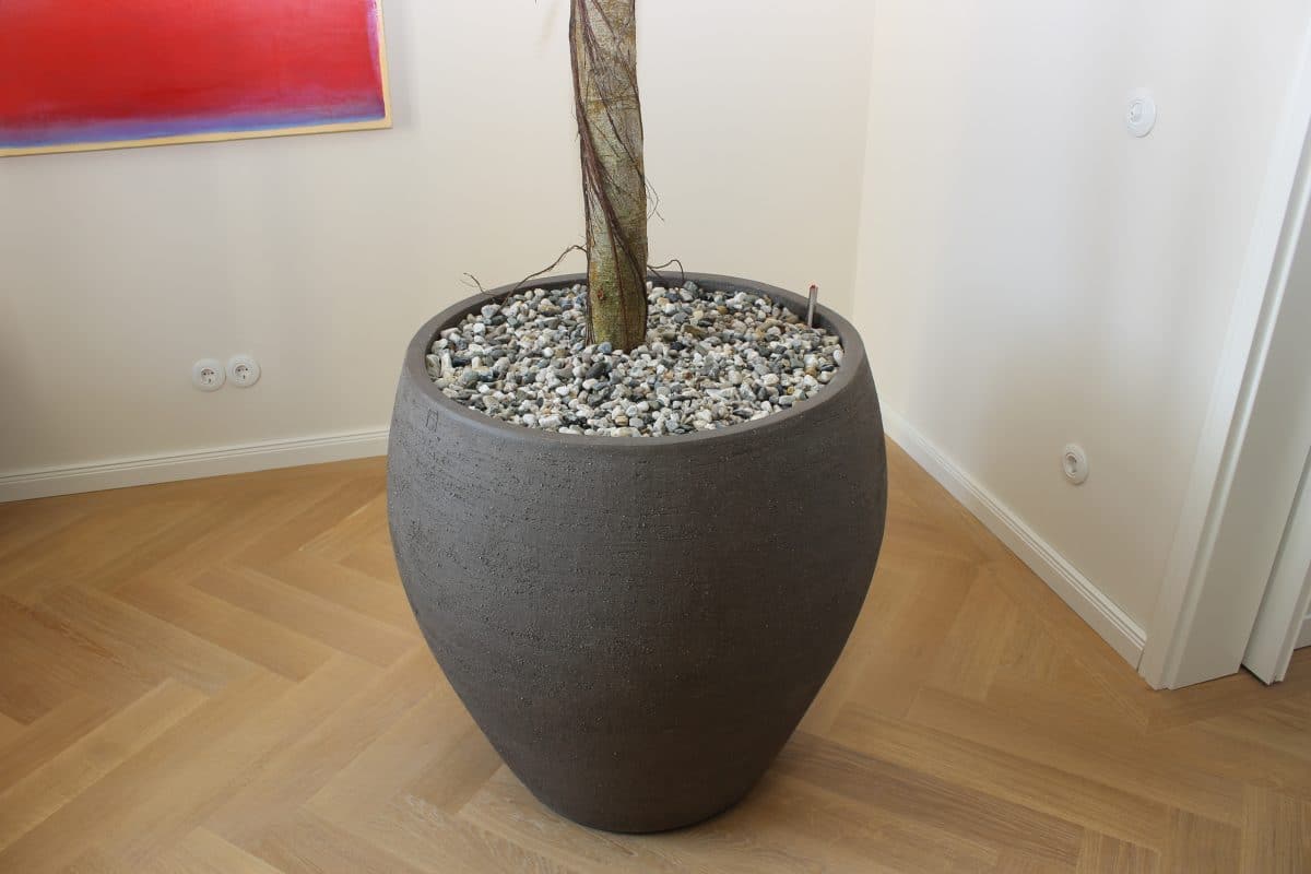 Plantenpot rond aardewerk - Binnenboom, plant, plantenwand en