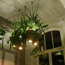 Plantenlamp-In-de-avond