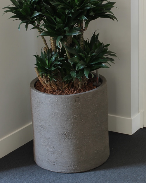 Gooey focus tennis Plantenpot rond cilindervormig handgemaakt aardewerk - Binnenboom, grote  plant, plantenwand en interieurbeplanting