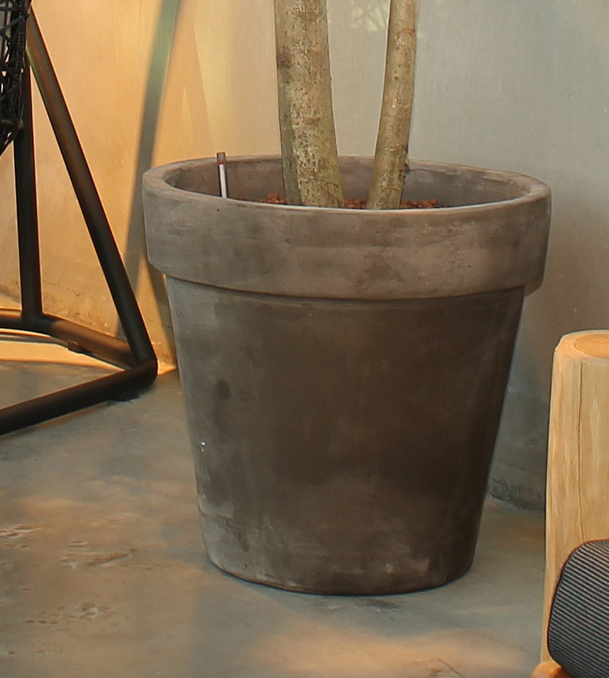 beroerte voldoende onstabiel Pot grijs terracotta - handgemaakt - Binnenboom, grote plant, plantenwand  en interieurbeplanting